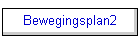 Bewegingsplan2